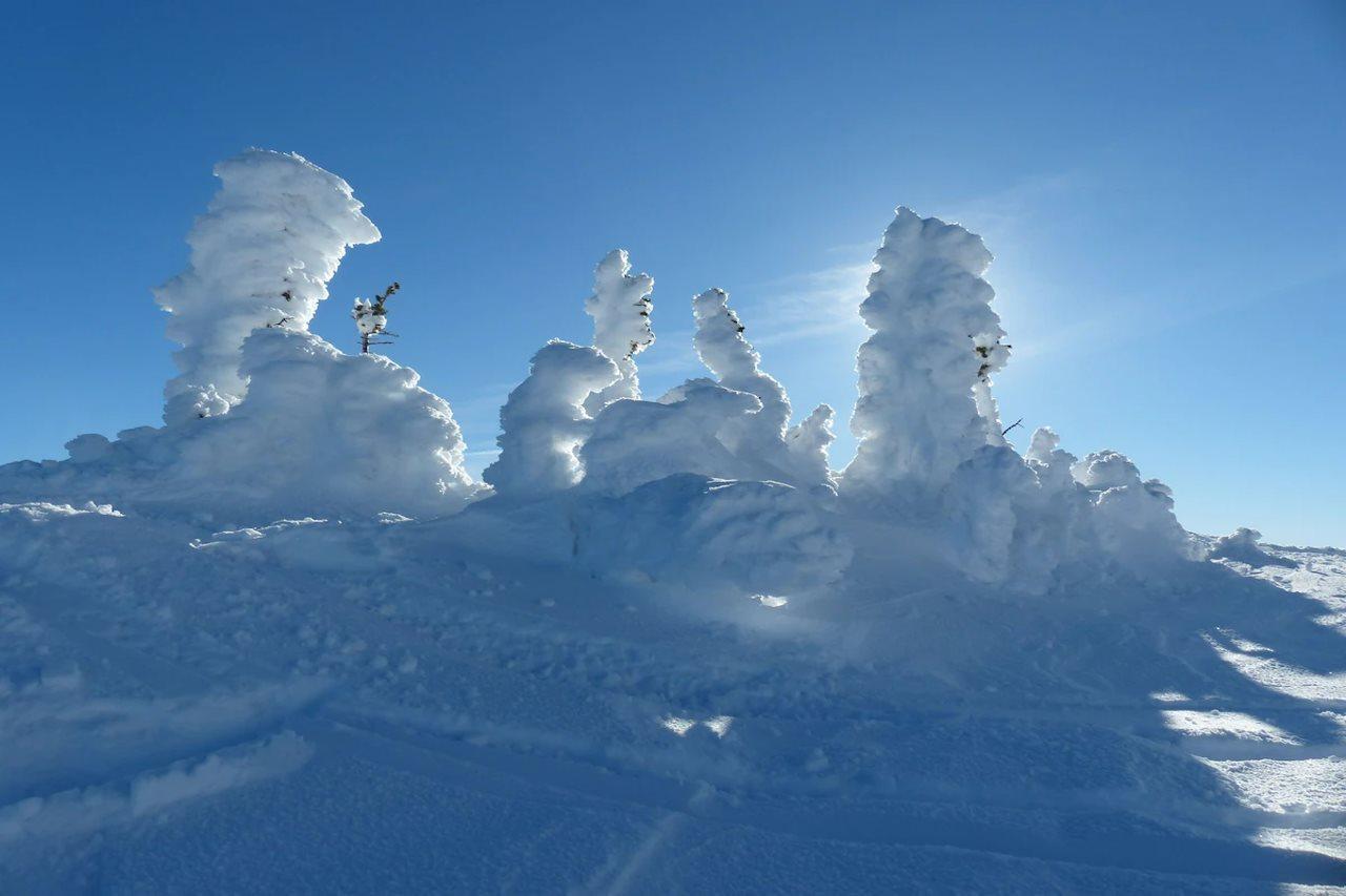 Sundance Resort Big White Esterno foto